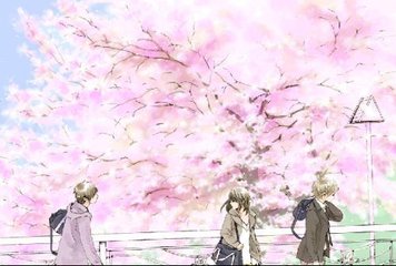 白虎一线天一二三四区